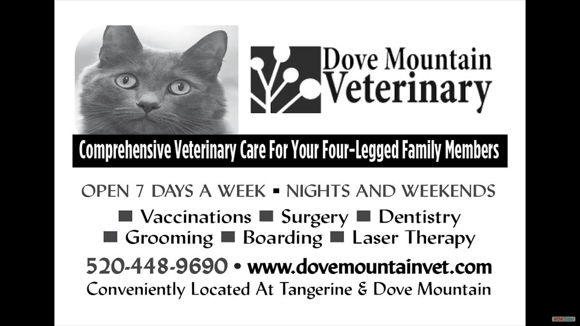 Dove Mountain Vet