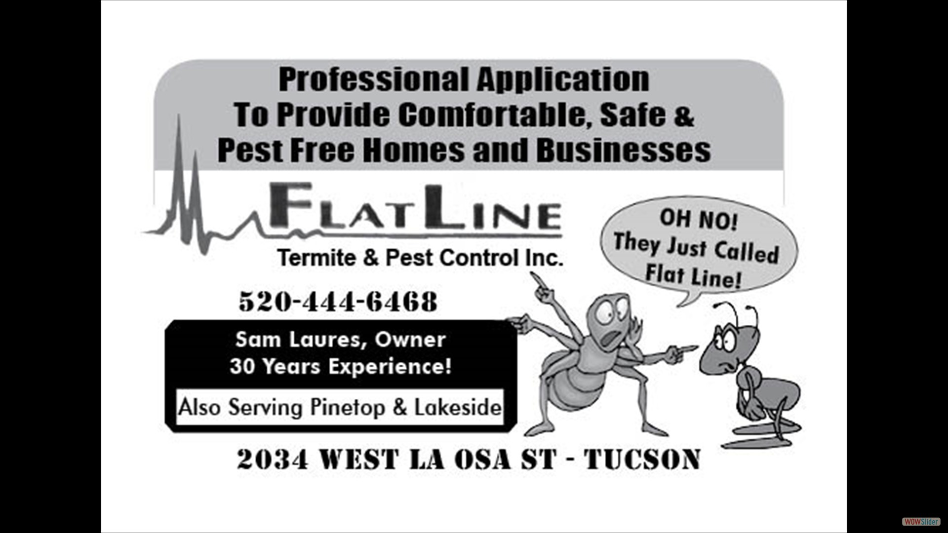 Flat Line Termite & Pest Control borderless